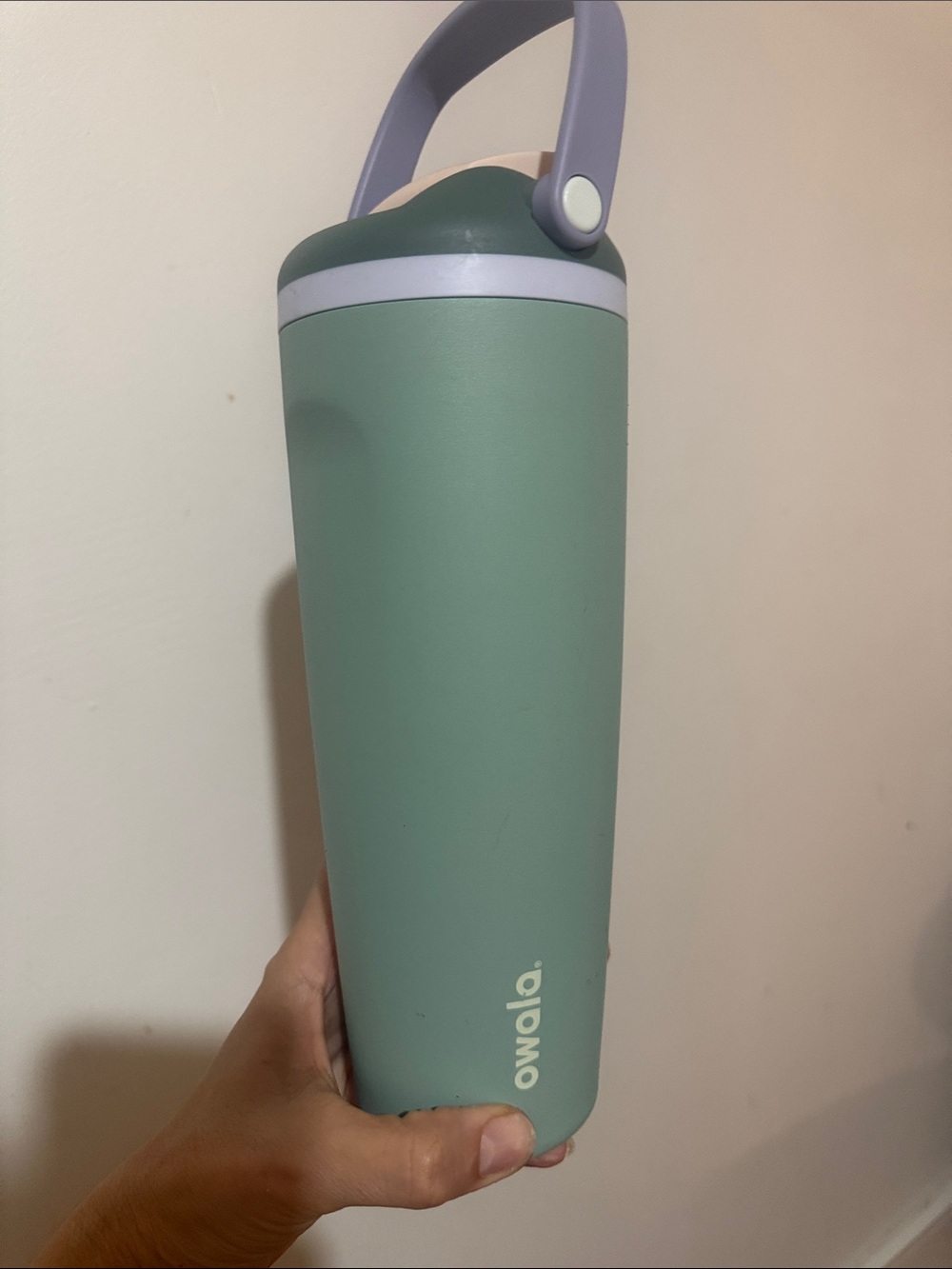 Owla Sage Green Insulated Water Bottle with Carry Handle
